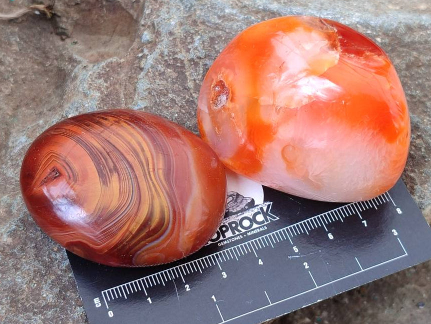 Polished Carnelian Agate Gemstone Galets x 20 From Madagascar - Toprock Gemstones and Minerals 