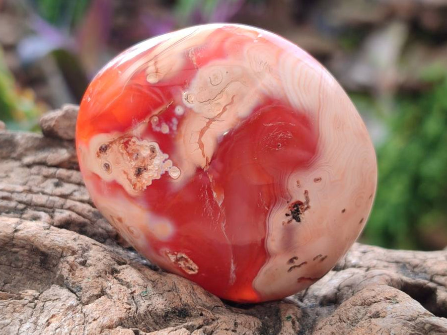 Polished Carnelian Agate Gemstone Galets x 20 From Madagascar - Toprock Gemstones and Minerals 