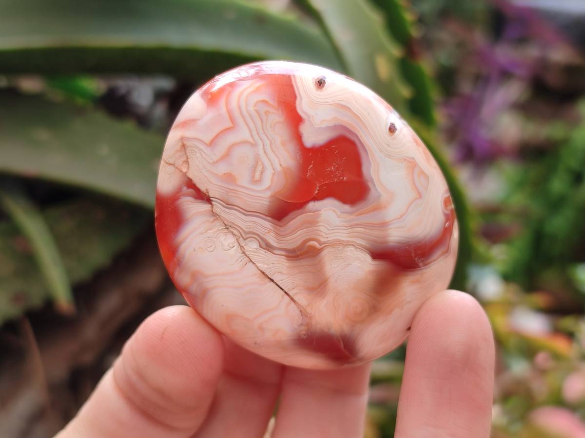 Polished Carnelian Agate Gemstone Galets x 20 From Madagascar - Toprock Gemstones and Minerals 