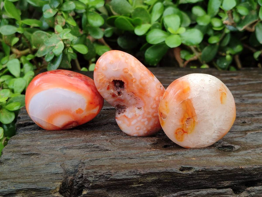 Polished Carnelian Agate Gemstone Galets x 20 From Madagascar - Toprock Gemstones and Minerals 