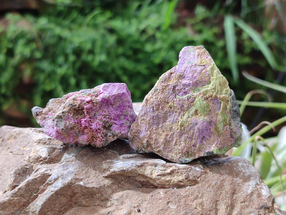 Natural Stichtite Cobbed Specimens x 35 From Barberton, South Africa - Toprock Gemstones and Minerals 