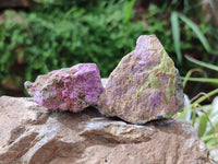 Natural Stichtite Cobbed Specimens x 35 From Barberton, South Africa