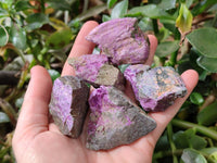 Natural Stichtite Cobbed Specimens x 35 From Barberton, South Africa