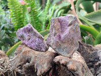 Natural Stichtite Cobbed Specimens x 35 From Barberton, South Africa