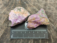 Natural Stichtite Cobbed Specimens x 35 From Barberton, South Africa