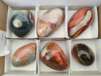 Polished On One Side Polychrome Jasper x 6 From NW Coast, Madagascar - Toprock Gemstones and Minerals 