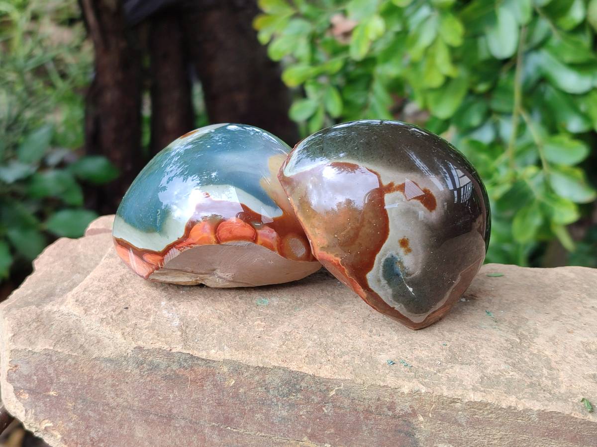 Polished On One Side Polychrome Jasper x 6 From NW Coast, Madagascar - Toprock Gemstones and Minerals 