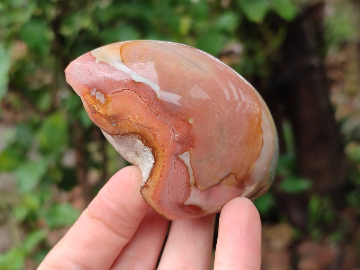 Polished On One Side Polychrome Jasper x 6 From NW Coast, Madagascar - Toprock Gemstones and Minerals 
