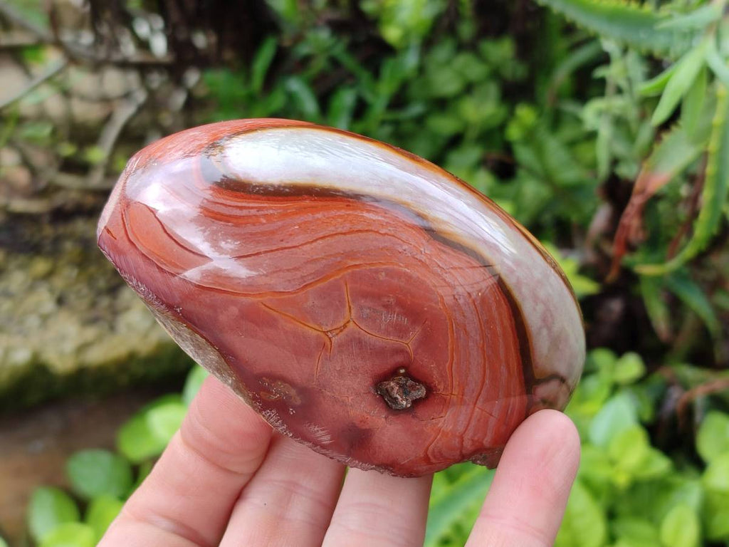 Polished On One Side Polychrome Jasper x 6 From NW Coast, Madagascar - Toprock Gemstones and Minerals 
