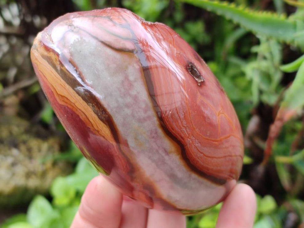 Polished On One Side Polychrome Jasper x 6 From NW Coast, Madagascar - Toprock Gemstones and Minerals 