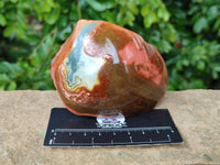 Polished On One Side Polychrome Jasper x 6 From NW Coast, Madagascar