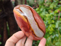 Polished On One Side Polychrome Jasper x 6 From NW Coast, Madagascar