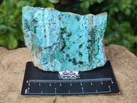 Natural Drusy Coated Chrysocolla Specimens x 6 From Likasi, Congo