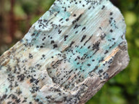 Natural Drusy Coated Chrysocolla Specimens x 6 From Likasi, Congo