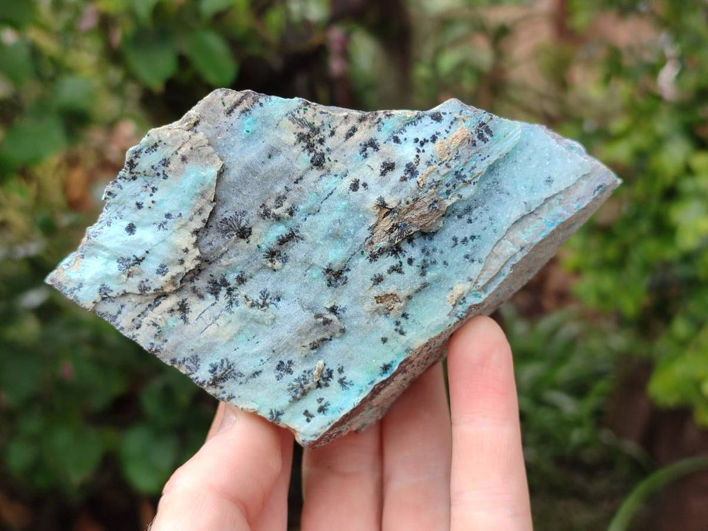 Natural Drusy Coated Chrysocolla Specimens x 6 From Likasi, Congo - Toprock Gemstones and Minerals 