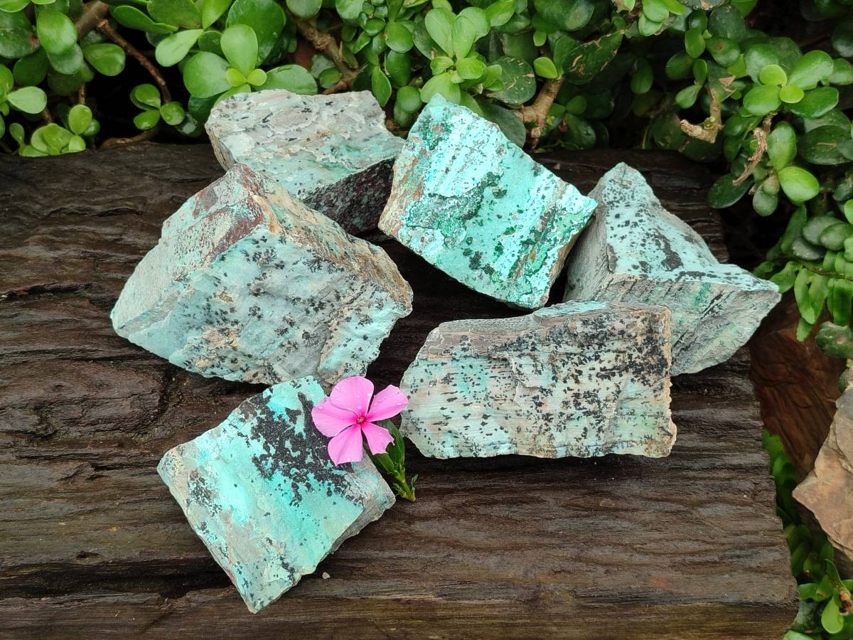 Natural Drusy Coated Chrysocolla Specimens x 6 From Likasi, Congo - Toprock Gemstones and Minerals 