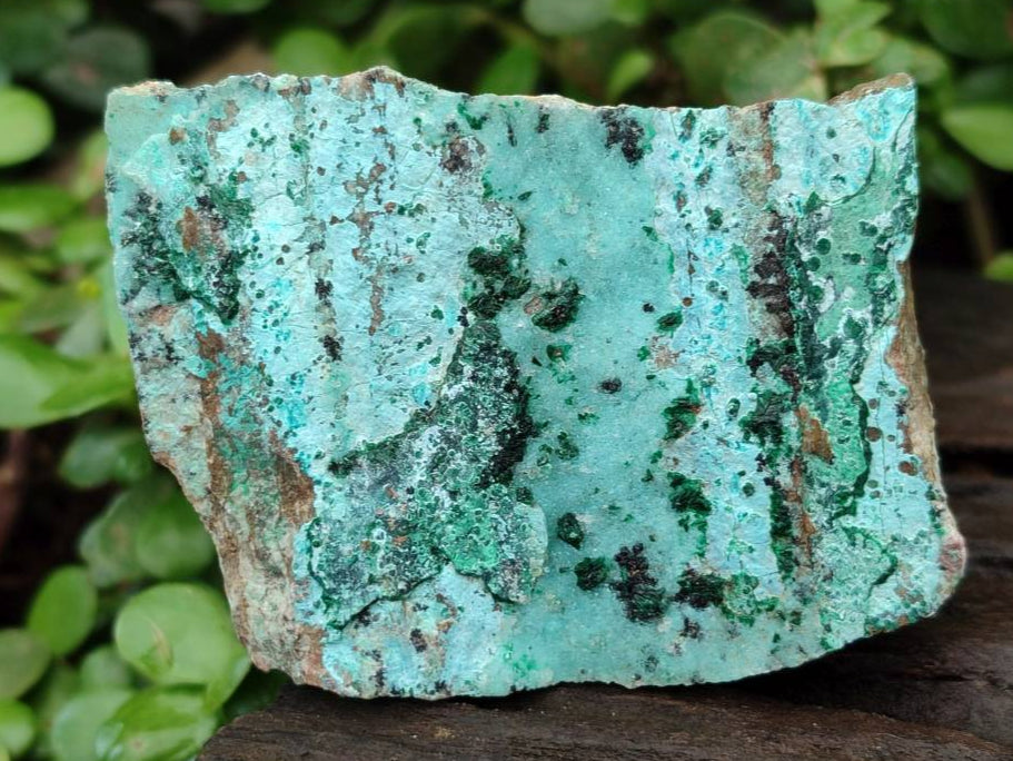 Natural Drusy Coated Chrysocolla Specimens x 6 From Likasi, Congo - Toprock Gemstones and Minerals 