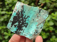 Natural Drusy Coated Chrysocolla Specimens x 6 From Likasi, Congo