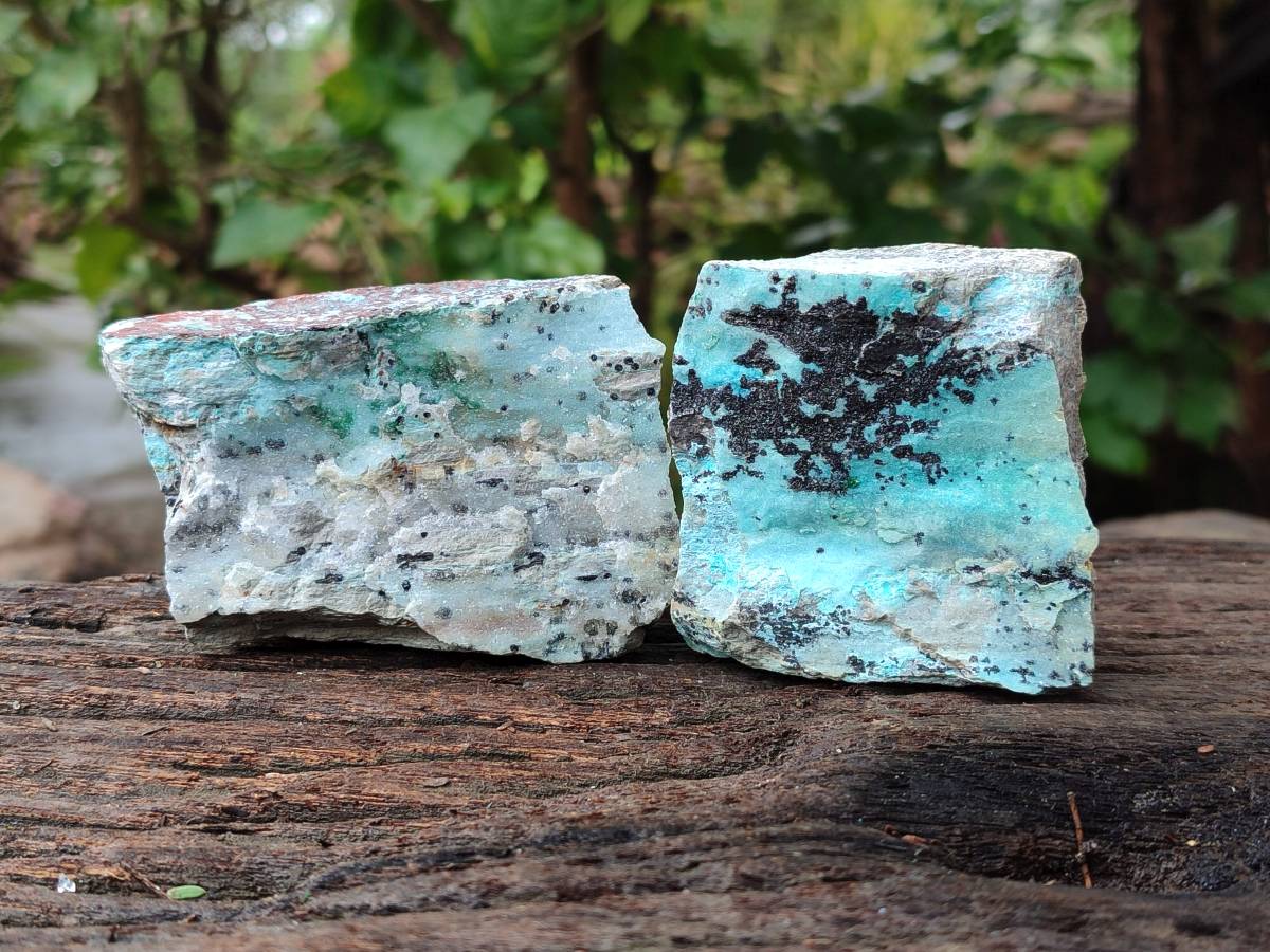 Natural Drusy Coated Chrysocolla Specimens x 6 From Likasi, Congo - Toprock Gemstones and Minerals 