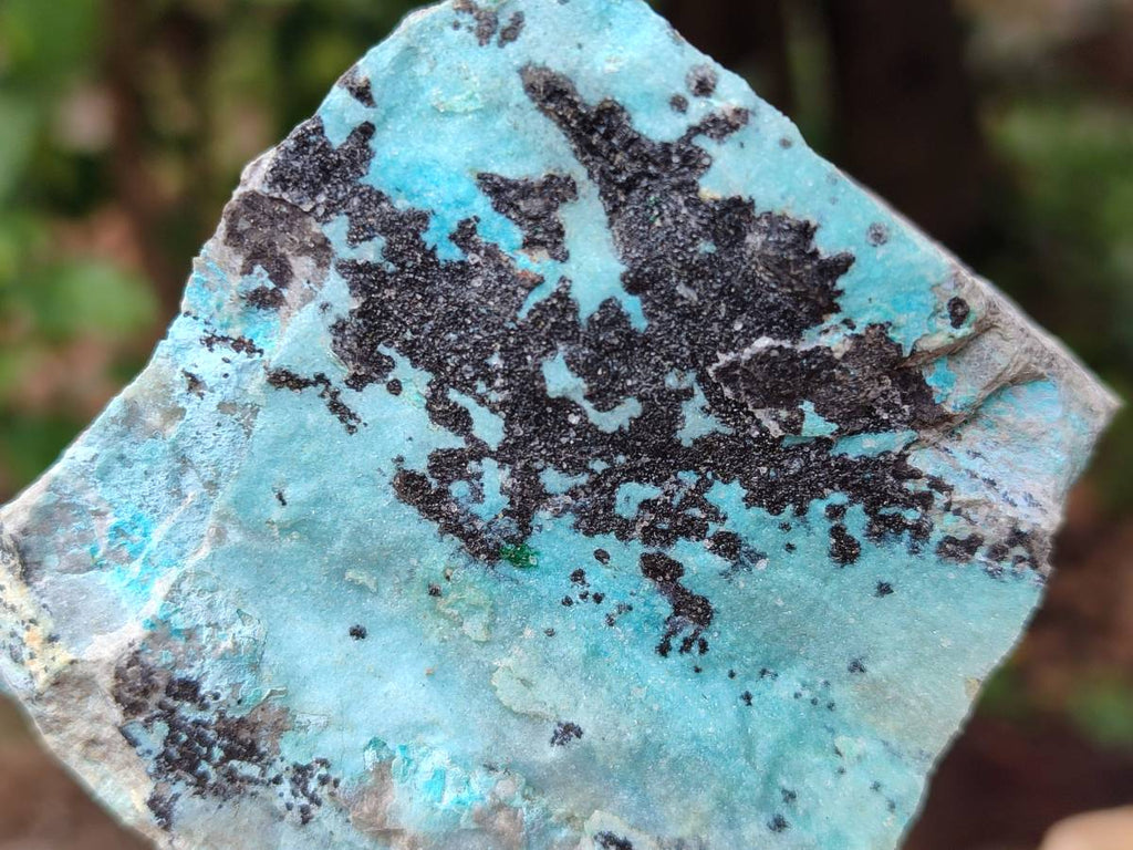 Natural Drusy Coated Chrysocolla Specimens x 6 From Likasi, Congo - Toprock Gemstones and Minerals 