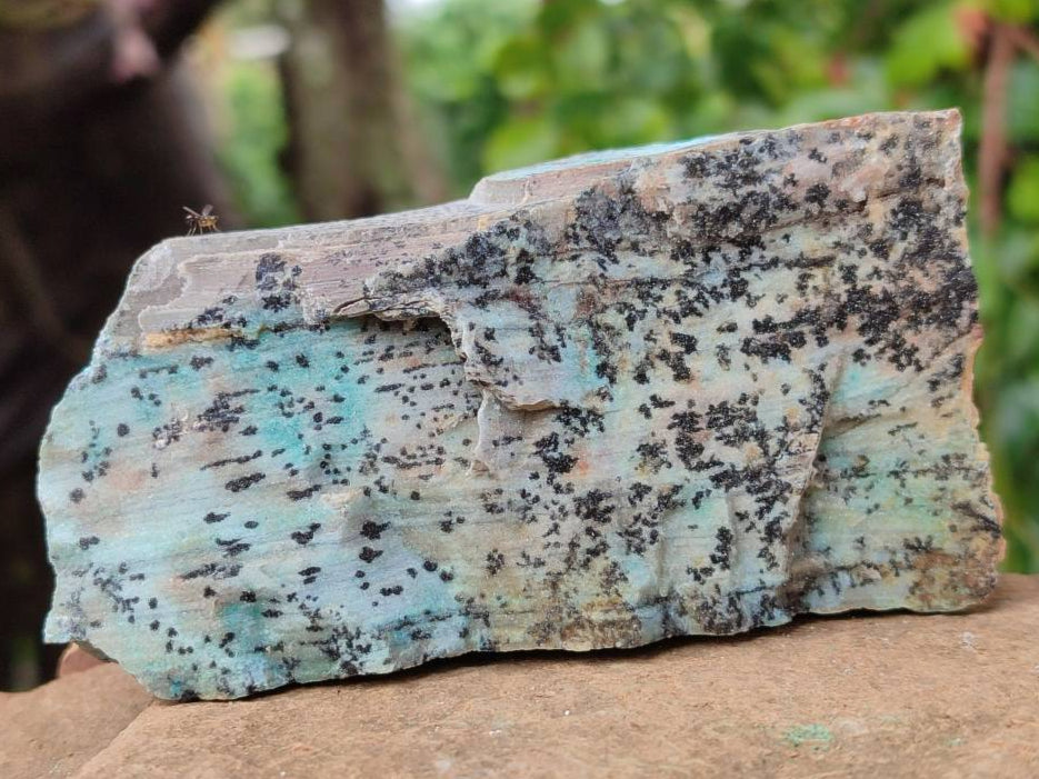 Natural Drusy Coated Chrysocolla Specimens x 6 From Likasi, Congo - Toprock Gemstones and Minerals 