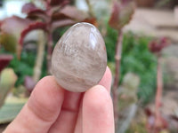 Polished Smokey Window Quartz Eggs x 35 From Madagascar