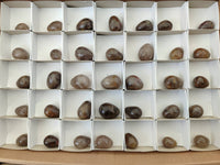 Polished Smokey Window Quartz Eggs x 35 From Madagascar