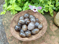 Polished Smokey Window Quartz Eggs x 35 From Madagascar