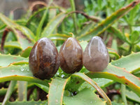 Polished Smokey Window Quartz Eggs x 35 From Madagascar