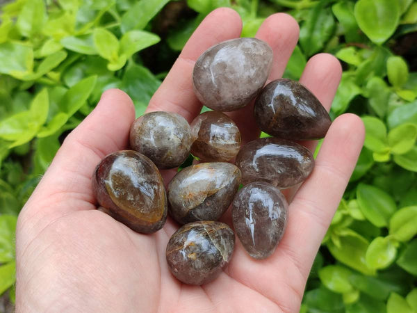 Polished Smokey Window Quartz Eggs x 35 From Madagascar