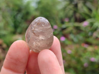 Polished Smokey Window Quartz Eggs x 35 From Madagascar