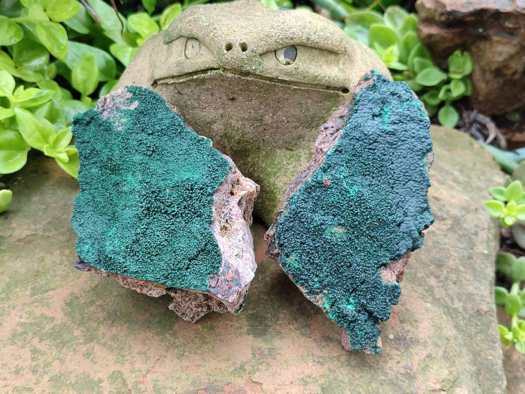 Natural Botryoidal Malachite Specimens x 5 From Congo - Toprock Gemstones and Minerals 