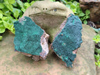 Natural Botryoidal Malachite Specimens x 5 From Congo - Toprock Gemstones and Minerals 