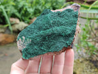 Natural Botryoidal Malachite Specimens x 5 From Congo - Toprock Gemstones and Minerals 