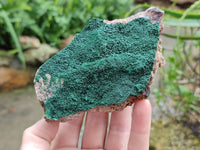 Natural Botryoidal Malachite Specimens x 5 From Congo