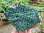 Natural Botryoidal Malachite Specimens x 5 From Congo - Toprock Gemstones and Minerals 