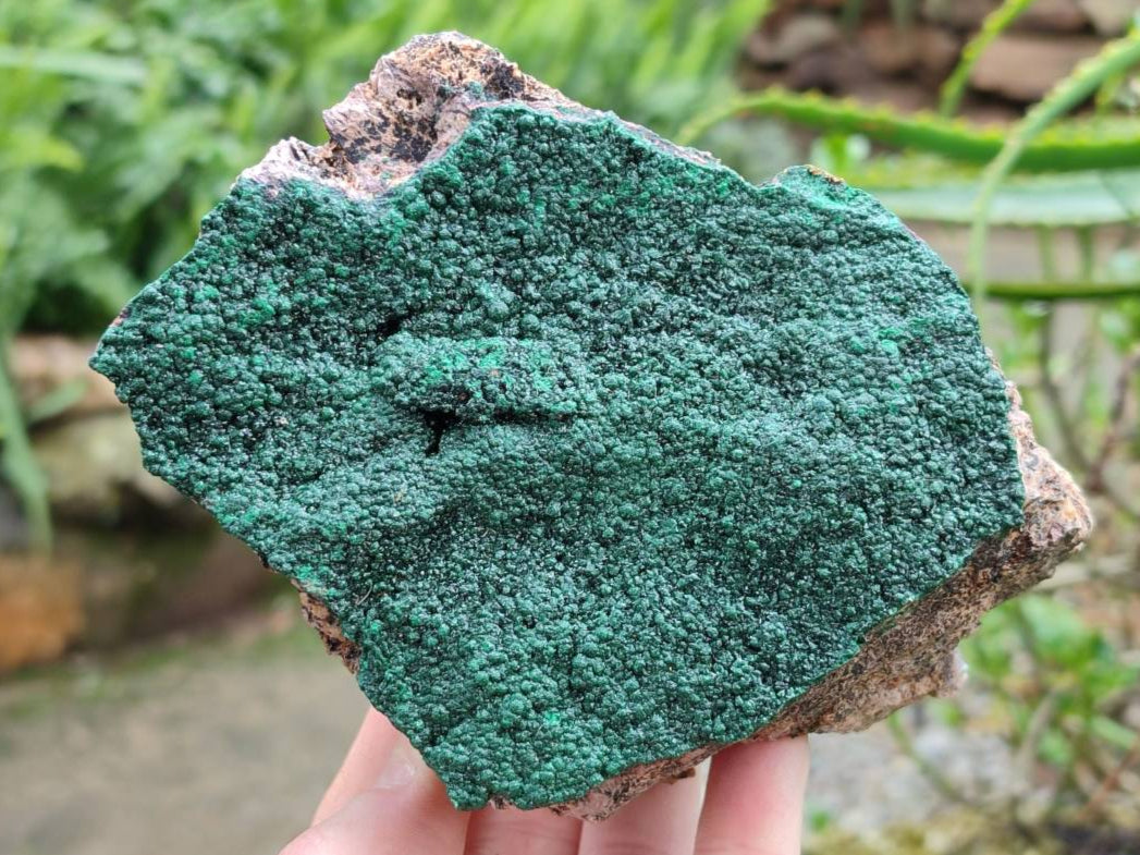 Natural Botryoidal Malachite Specimens x 5 From Congo - Toprock Gemstones and Minerals 