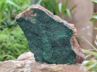 Natural Botryoidal Malachite Specimens x 5 From Congo
