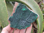 Natural Botryoidal Malachite Specimens x 5 From Congo - Toprock Gemstones and Minerals 