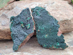 Natural Botryoidal Malachite Specimens x 5 From Congo - Toprock Gemstones and Minerals 