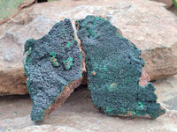 Natural Botryoidal Malachite Specimens x 5 From Congo