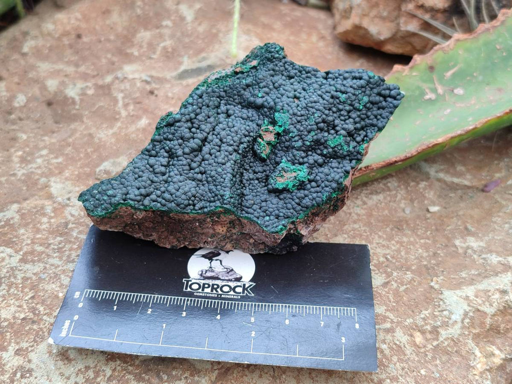 Natural Botryoidal Malachite Specimens x 5 From Congo - Toprock Gemstones and Minerals 