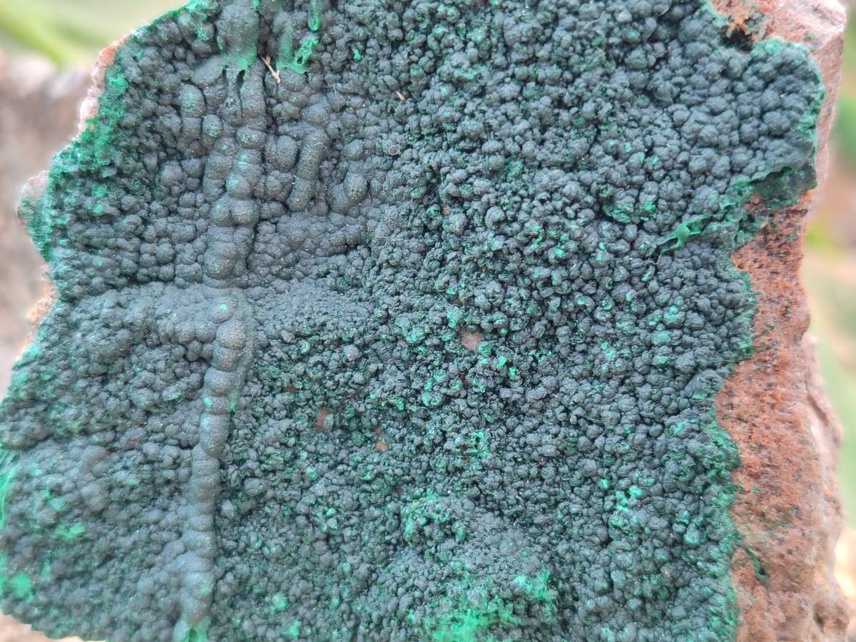 Natural Botryoidal Malachite Specimens x 5 From Congo - Toprock Gemstones and Minerals 