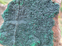 Natural Botryoidal Malachite Specimens x 5 From Congo