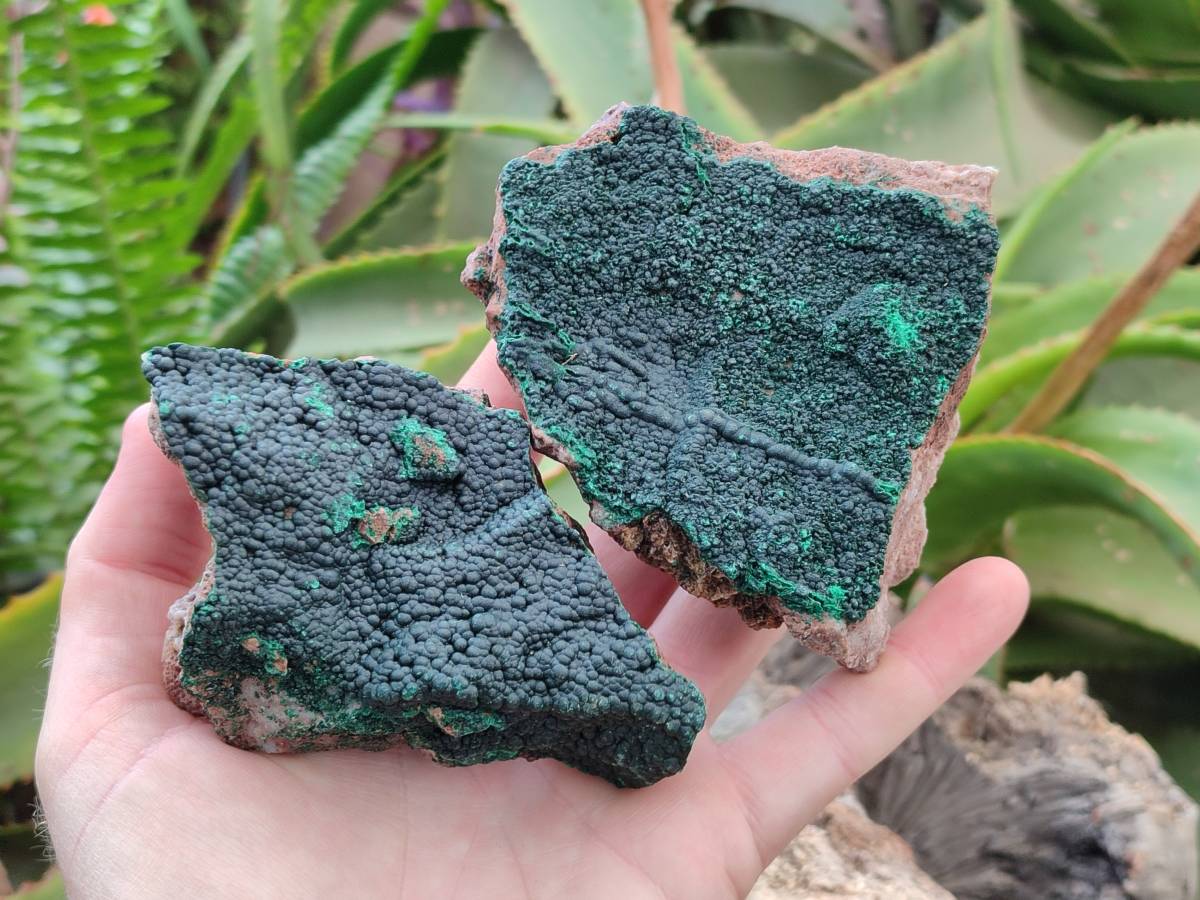 Natural Botryoidal Malachite Specimens x 5 From Congo - Toprock Gemstones and Minerals 