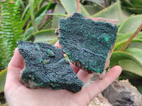 Natural Botryoidal Malachite Specimens x 5 From Congo