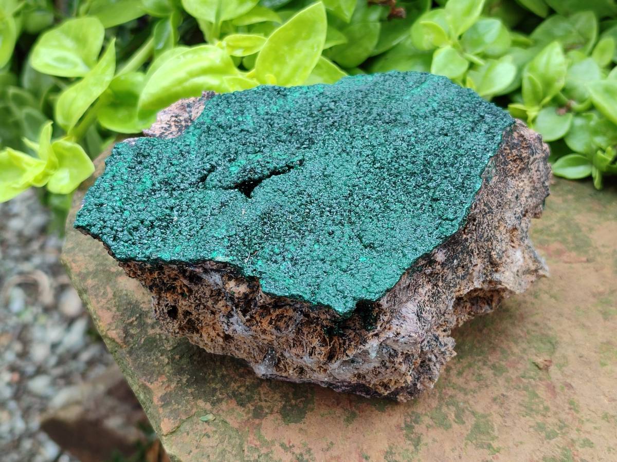 Natural Botryoidal Malachite Specimens x 5 From Congo - Toprock Gemstones and Minerals 