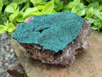 Natural Botryoidal Malachite Specimens x 5 From Congo