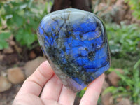 Polished Labradorite Standing Free Forms x 6 From Tulear, Madagascar