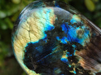 Polished Labradorite Standing Free Forms x 6 From Tulear, Madagascar